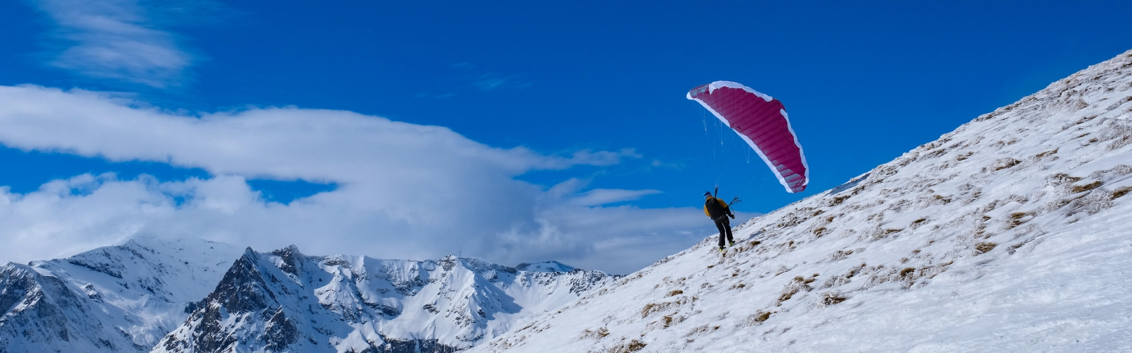 entete-evolution-speed